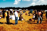 CZECHTEK 2005