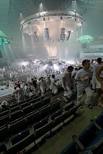 SENSATION WHITE